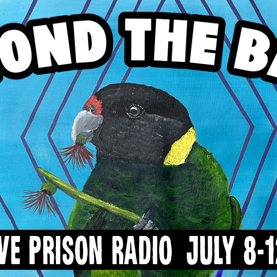 cover of episode Life Beyond the Bars