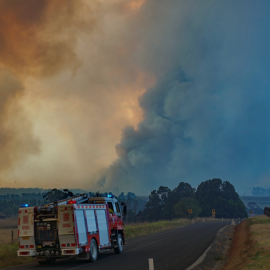 cover of episode Bushfire preparation and people with disabilities