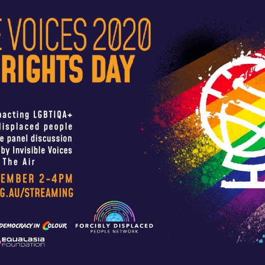 cover of episode Invisible Voices 2020 Human Rights Day