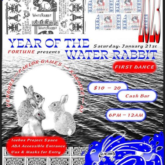 cover of episode Year of the Water Rabbit/Cat with Fortune