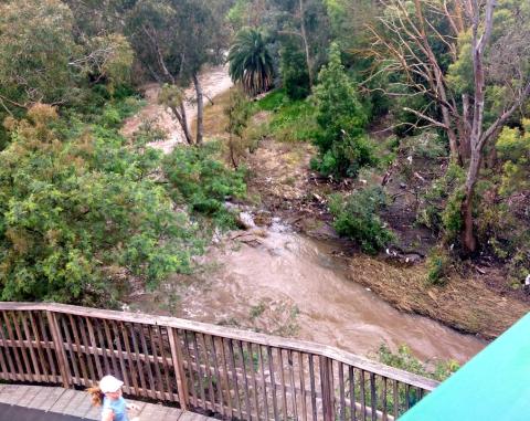 Climate Change Impacts On Naarm Melbourne's Shared Paths | 3CR ...