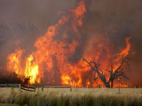 bushfires ravage rice bushfire 3cr